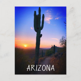 Cartão Postal Arizona Saguaro Cactus Sunset Souvenir Viagem