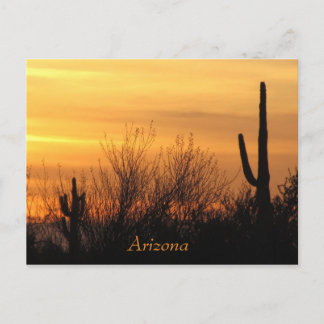 Cartão Postal Arizona Sunset-3