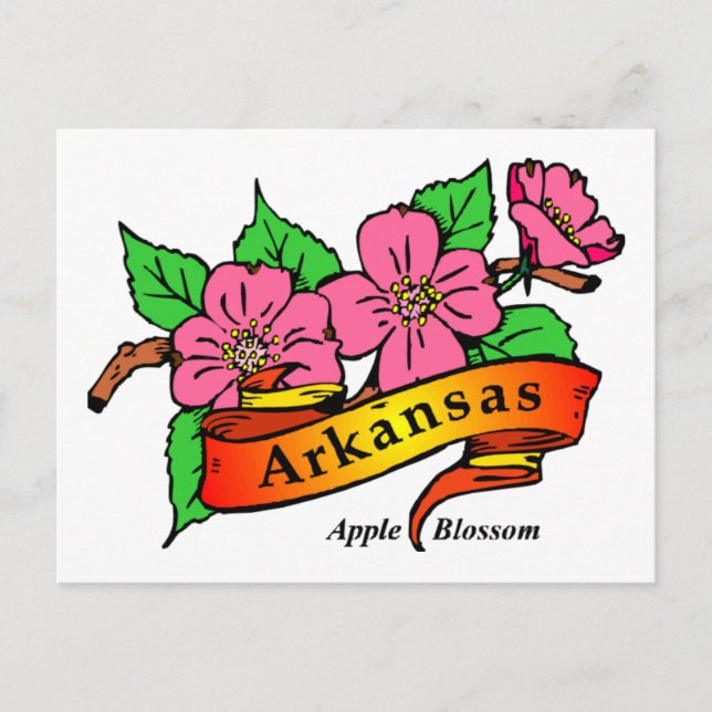 Cartão Postal Arkansas Apple Blossom (Frente)