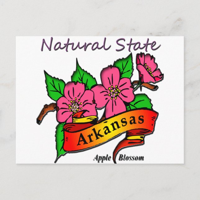 Cartão Postal Arkansas Natural State Apple Blossom (Frente)