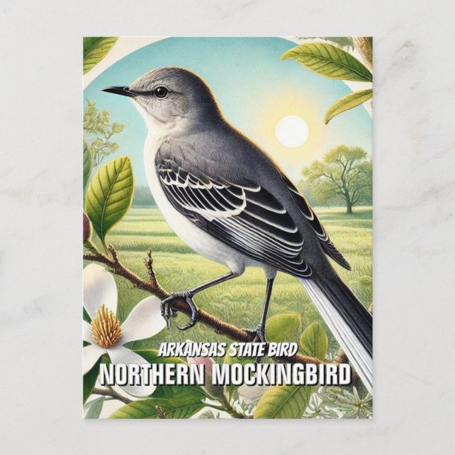 Cartão Postal Arkansas State Bird Norte Mockingbird (Frente)