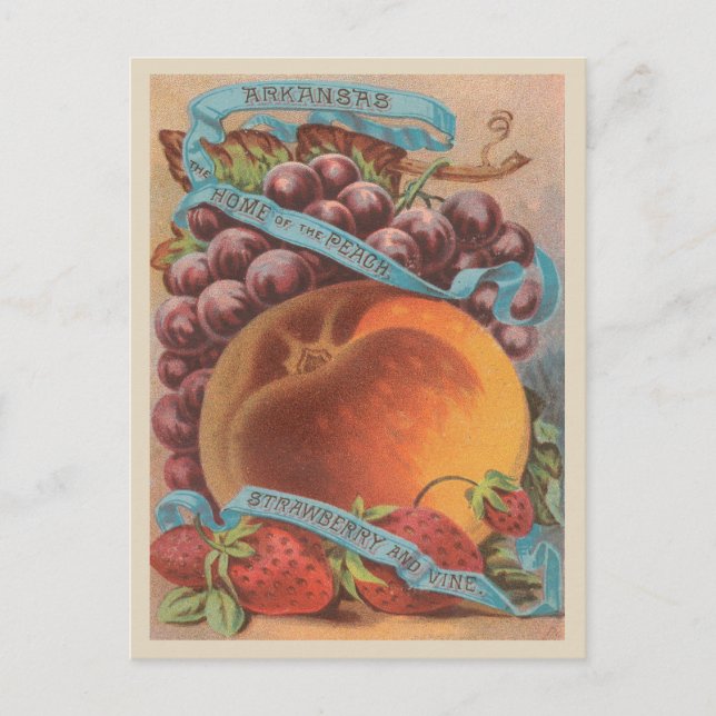 Cartão Postal Arkansas Vintage Peach Strawberry Graphics (Frente)