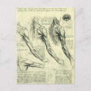 Cartão Postal Arm e Anatomia do Ombro por Leonardo da Vinci