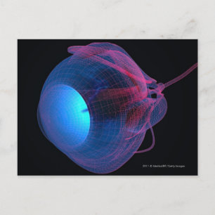 Cartão Postal Armação dos músculos do olho