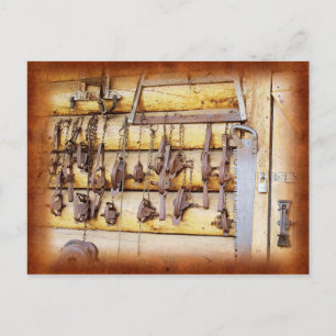 Cartão Postal Armadilhas do animal em Alaska