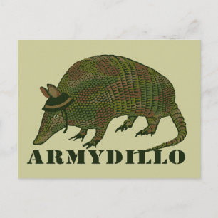 Cartão Postal Armadillo Item