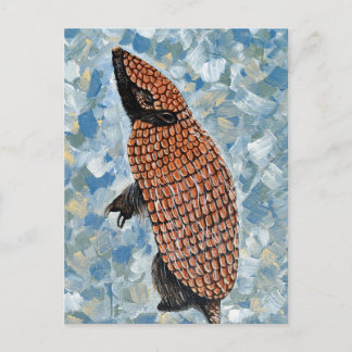 Cartão Postal Armadillo Painting