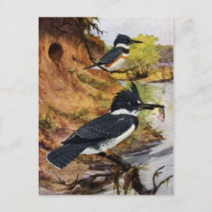 Cartão Postal Armadores Cinturados e o Túnel do Ninho