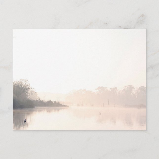 Cartão Postal Armand Bayou nevoeiro (Frente)