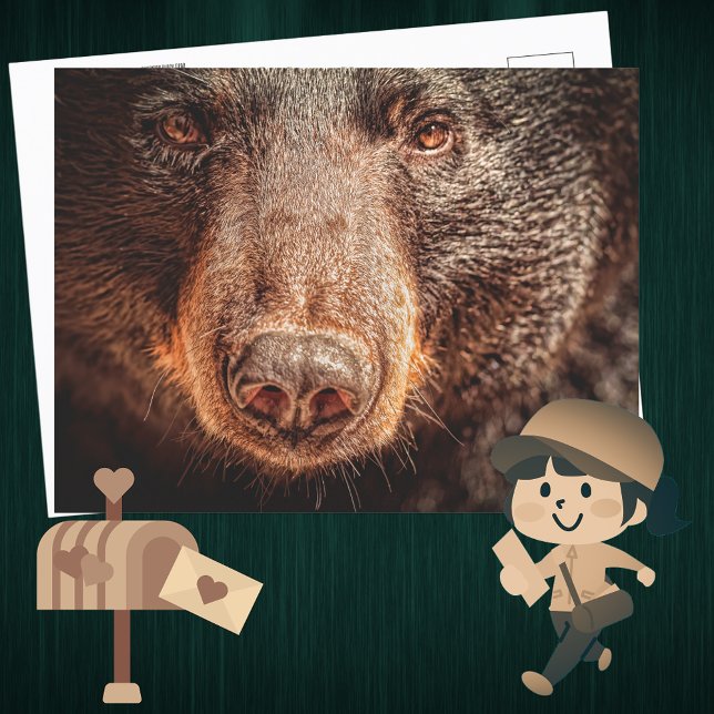 Cartão Postal Armário Negro Americano (Criador carregado)