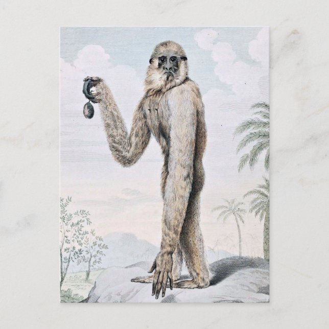 Cartão Postal Armed Gibbon Ape Art (Frente)