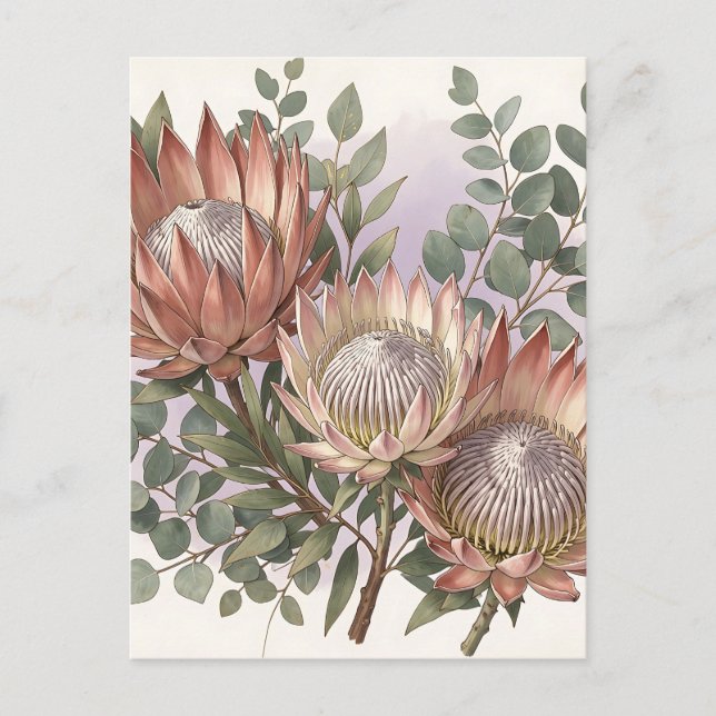 Cartão Postal Arranjo Botânico de Eucalipto Protea Rosa (Frente)