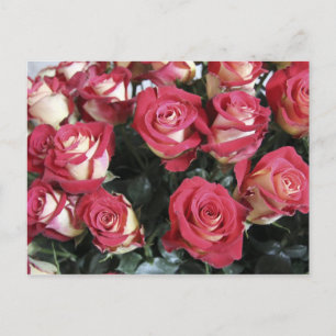 Cartão Postal arranjo Sweetness Rose na Hacienda Compania