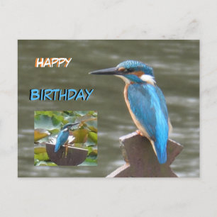 Cartão Postal Arrasadores de Martim-pescador Feliz Aniversário C