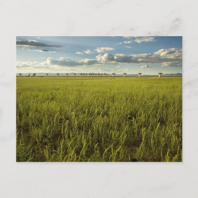 Cartão Postal Array muito grande (Frente)