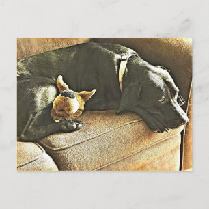 Cartão Postal Arrependimentos