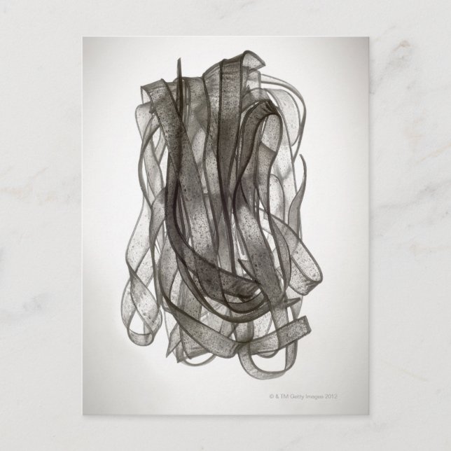 Cartão Postal Arroz Chinês (Frente)