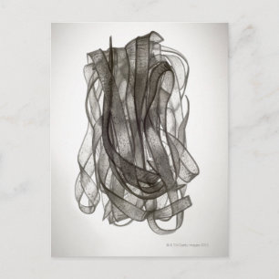 Cartão Postal Arroz Chinês