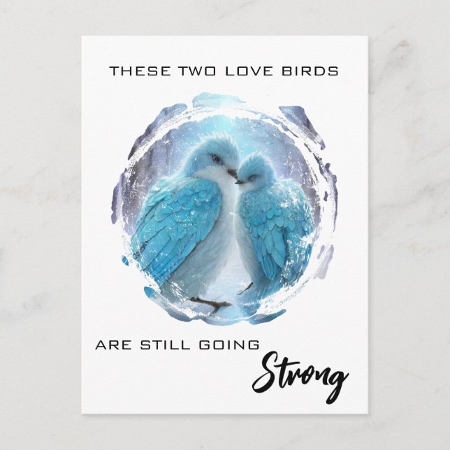 Cartão Postal *~*  Art Aniversário Amor Pássaros Inverno AP54 (Frente)