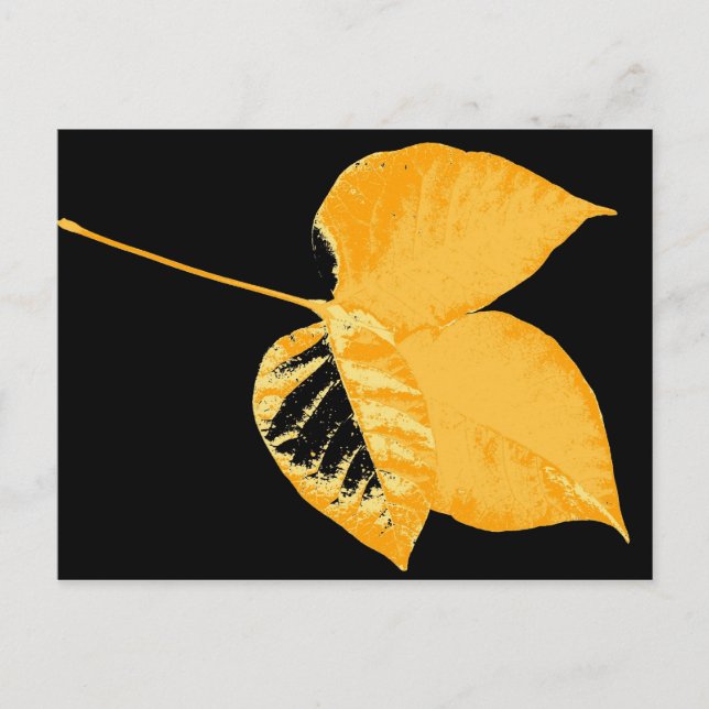 Cartão Postal Art Leaf 12 (Frente)