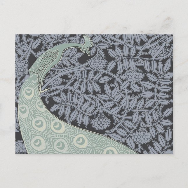 Cartão Postal Art Nouveau Peacock Classic Vintage Bird (Frente)