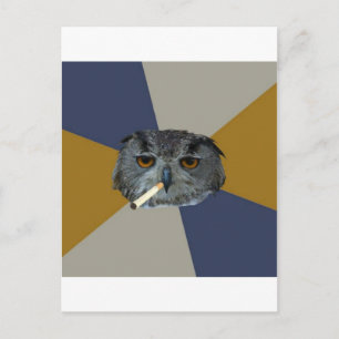 Cartão Postal Art Student Owl Advice Animal Meme