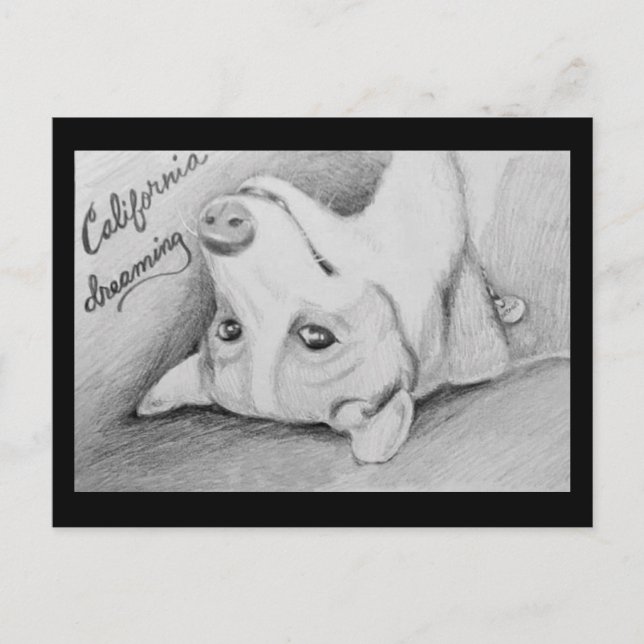 Cartão Postal Artaius, o Corgi (Frente)