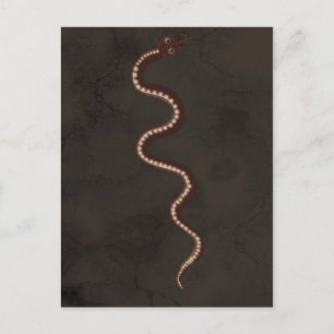 Cartão Postal Arte Aboriginal do Deserto Cobra