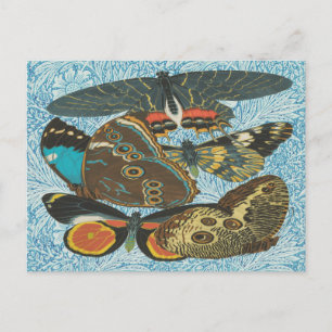 Cartão Postal Arte Botânica de Borboleta Vintage Colorida