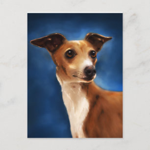 Cartão Postal Arte Canina Italiana Greyhound - Magnifico