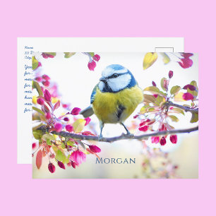 Cartão Postal Arte Colorida do Comboio Vintage a Vapor, Nome, Me