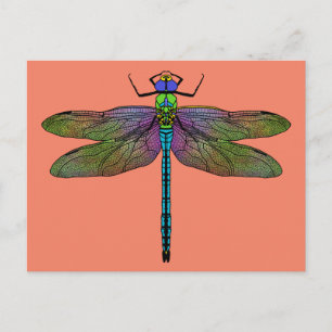 Cartão Postal Arte Colorida Imperadora Dragonfly