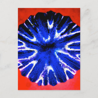 Cartão Postal Arte da flor do áster