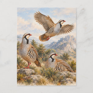 Cartão Postal Arte da Perdiz Chukar