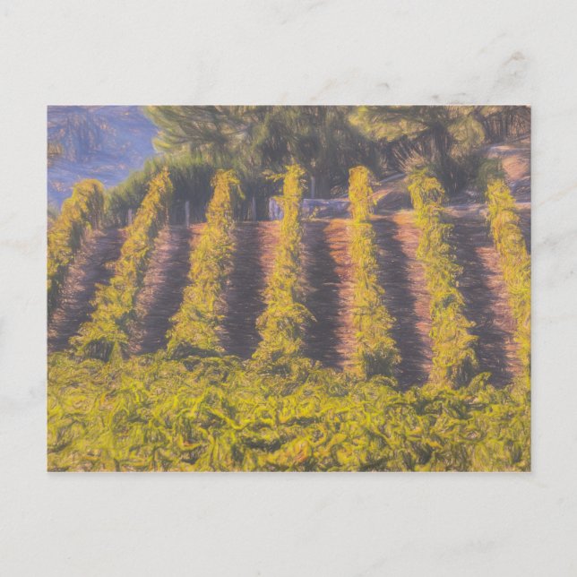 Cartão Postal Arte Da Vinha (Frente)