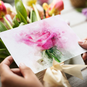 Cartão Postal Arte de Aquarela de Rosa Rosa em Fundo Branco