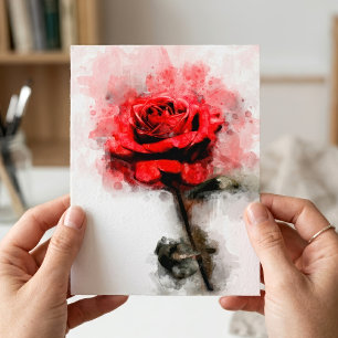 Cartão Postal Arte de Aquarela de Rosa Vermelha em Fundo Branco