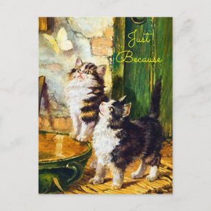 Cartão Postal Arte de Borboleta Gatinhos Curiosos Vintage Só Por
