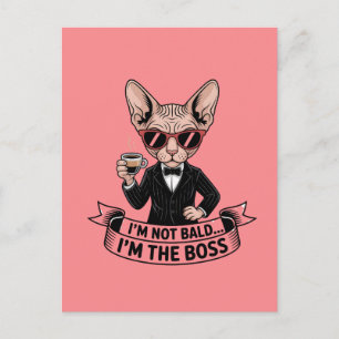 Cartão Postal Arte de Café com Gato Sphynx Chefe Legal