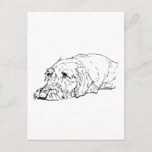 Cartão Postal Arte de Dachshund de Pelo Cabeludo - Fofo