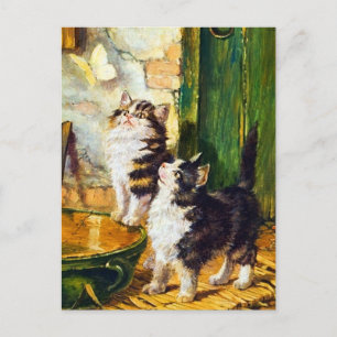 Cartão Postal Arte de Gato Borboleta Gatinhos Curiosos Vintage