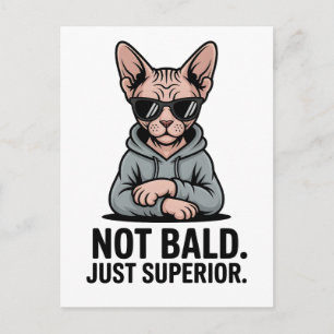 Cartão Postal Arte de Gato Sphynx Superior com Atitude Sarcástic