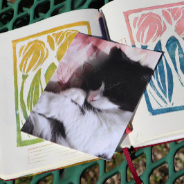 Cartão Postal Arte de Gato Tuxedo Fofinho Nariz Rosa Gatos Arte