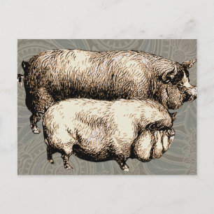 Cartão Postal Arte de Ilustração Anterior de País de Fazenda de 