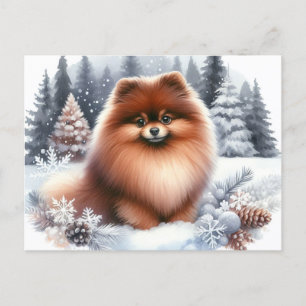 Cartão Postal Arte De Inverno Cujo Castanho Pomeraniana