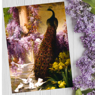 Cartão Postal Arte de Jardim Pavão Vintage Wisteria Romântica