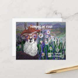 Cartão Postal Arte de Lhama Fofa Com Óculos. E Arte