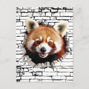 Cartão Postal Arte de Panda Vermelho 3D na Parede – Safari Reali
