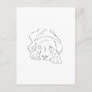 Cartão Postal Arte de Parede Cachorro Labrador Retriever Fofo, D