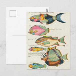 Cartão Postal Arte de Parede de Vida Marinha Vibrante das Índias